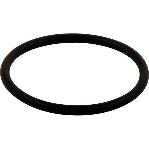 Delta O-Ring Large All Monitor Series Rp23336