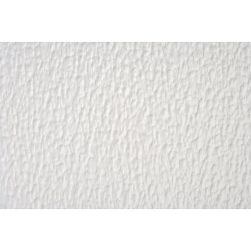 Parkland Performance 2 X 2' Spectra Stucco Ceiling Tile, Package Of 12