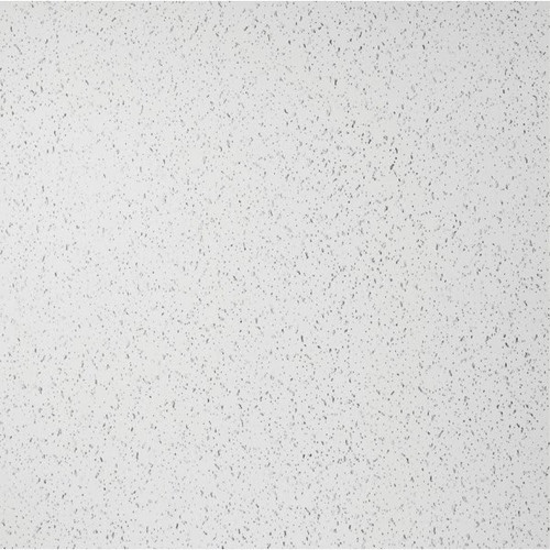 Genesis 2ft X 2ft Printed Pro Lay In Ceiling Tile, Case Of 12