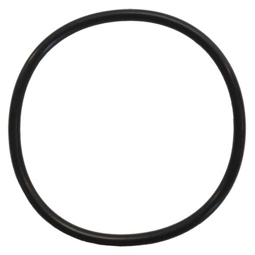 Rainbow Viton Chlorinator Lid O-Ring