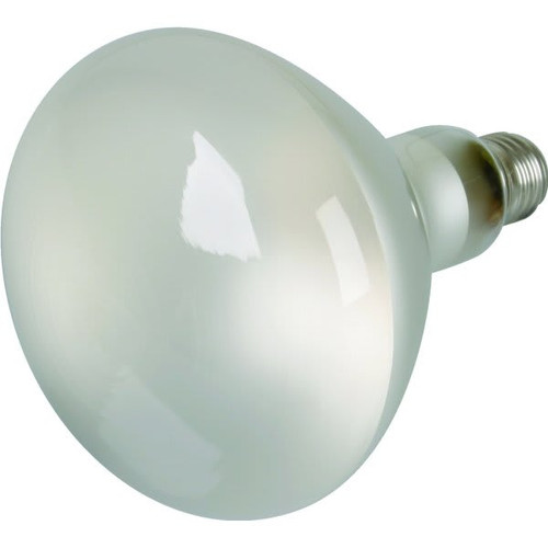 500w R40 Incandescent Reflector Bulb