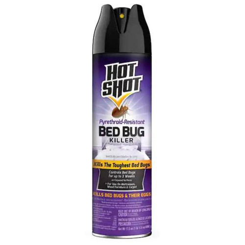 Hot Shot Hot Shot 17.5 Oz. Bed Bug Killer Aerosol