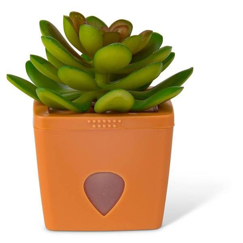 JT Eaton Zendozones Fruit Fly Trap, Terracotta Base, Serene Sandy Case Of 6