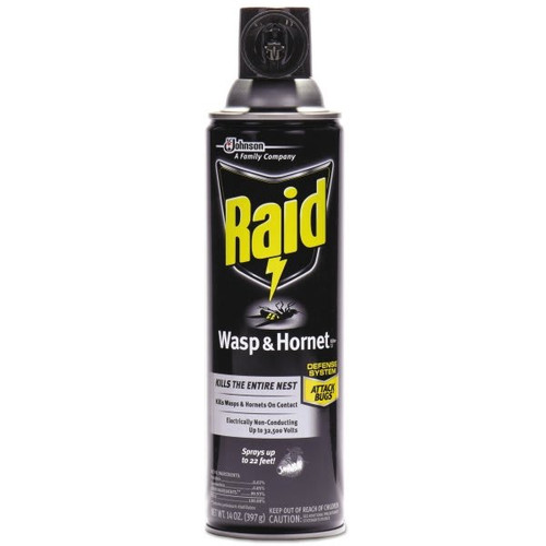 Raid 14 Oz Wasp And Hornet Killer (12-Carton)