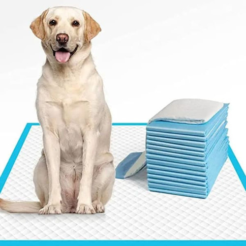 Amenity Services Dog Pads Case Of 20