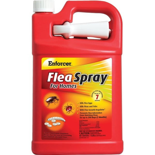 Enforcer 1 Gal. Flea Spray For Home
