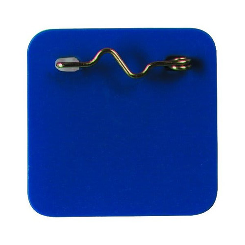 Recreational Pass With Pin Blue, Package Of 100