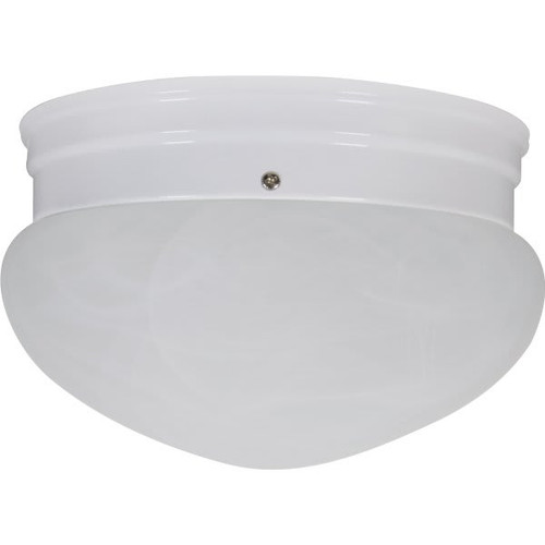 9 In. 2-Light Ceiling Led Flush Mount Light