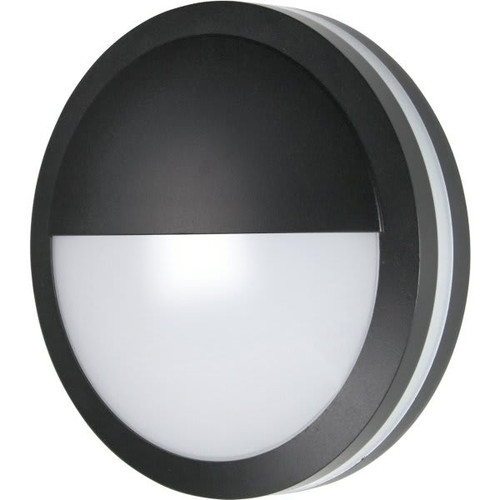 Liteco Round 11.5 In Outdoor LED Flush-Mount Wall/Ceiling Light (Black)