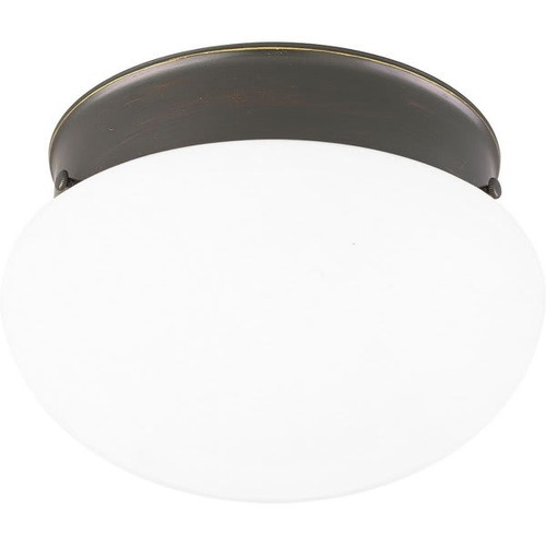 Progress Lighting 10 In. Fitter 2-Light Incandescent Flush Mount Light