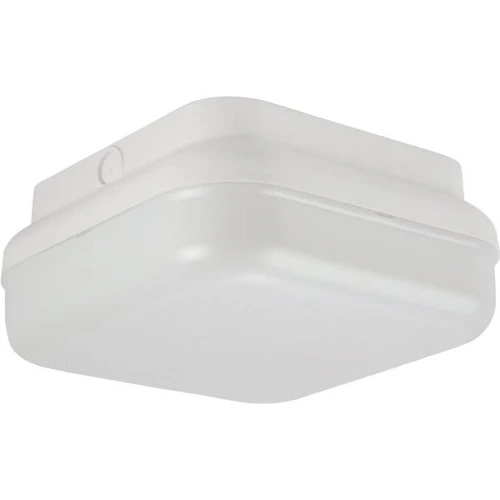 Liteco 10 In. 2-Light Outdoor Ceiling Light