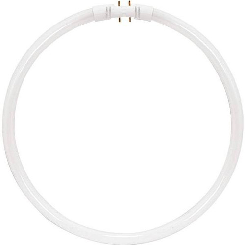 Satco 40-Watt 12 In Circline T5 2gx13 Base Fluorescent Tube Light Bulb White