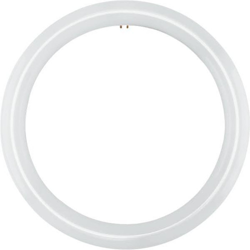 Satco 100w Equiv. T9 4-Pin Base Circline Led Light Bulb (Daylight)