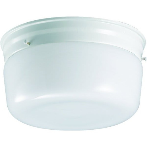 1083-06 2-Light Incandescent Flush Mount Light