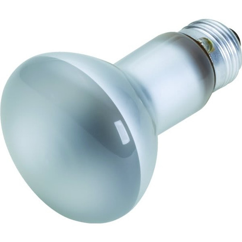 Philips 30w R20 Incandescent Reflector Bulb (12-Pack)