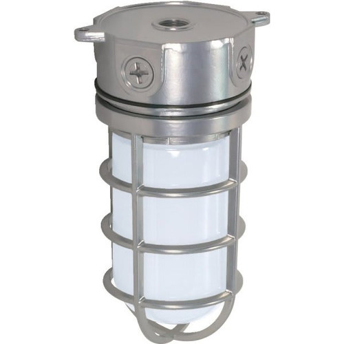 Satco Nuvo Metallic Silver One-Light 10 Industrial Surface Mount, Frosted Glass