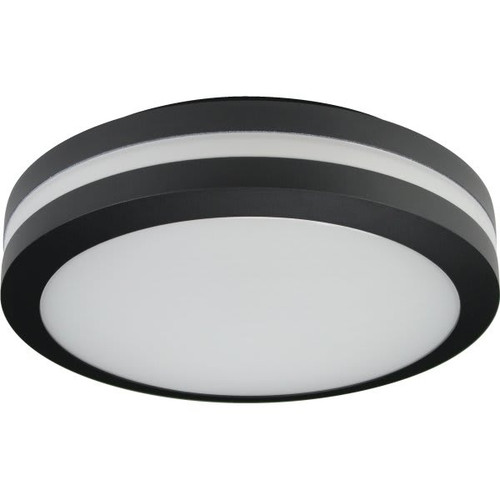 Liteco 11.8 In. 1-Light Outdoor Ceiling Light (Black)