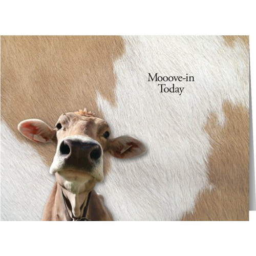 Personalized Simpleside Card, Udderly Fantastic  Envelope Imprint Package Of 50