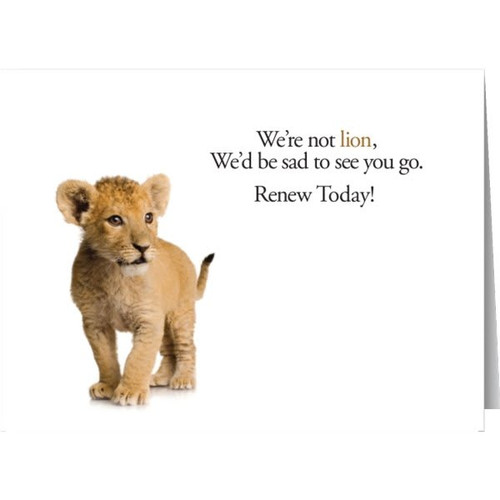 Personalized Simpleside Greeting Cards, Big Kitty Design, No Envelope Imprint Package Of 50