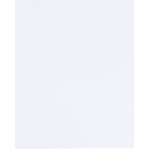Box Partners 3 X 4" - 1.5 Mil Flat Polypropylene Bags Case Of 10000