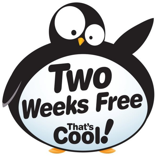 Coroplast Semi-Custom Yard Sign, Igloo, 32 X 32