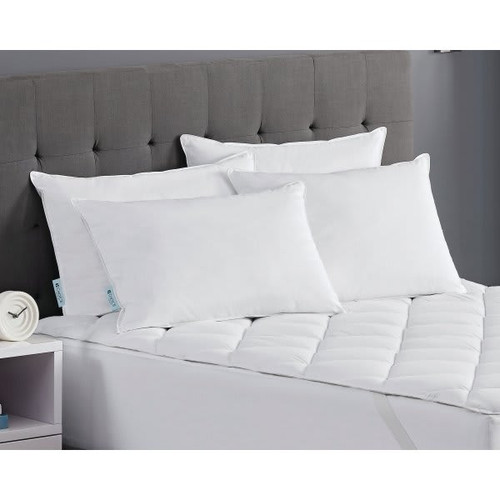 Cambria Hotels Luminesse Queen Pillow Firm, Case Of 10