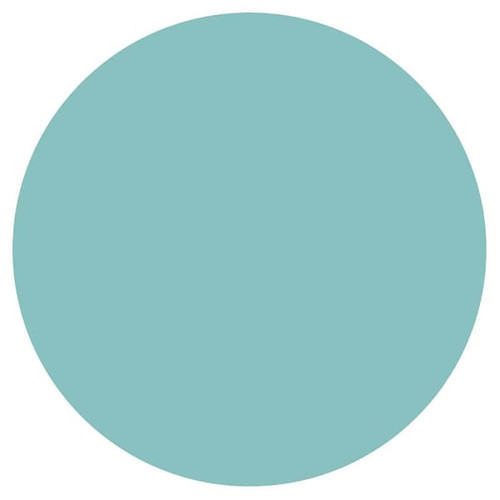 Rrd Blank Turquoise Removable Paper Circl