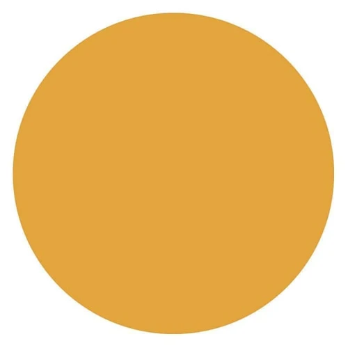 Rrd Paper Circles 1/2"Fl Orng