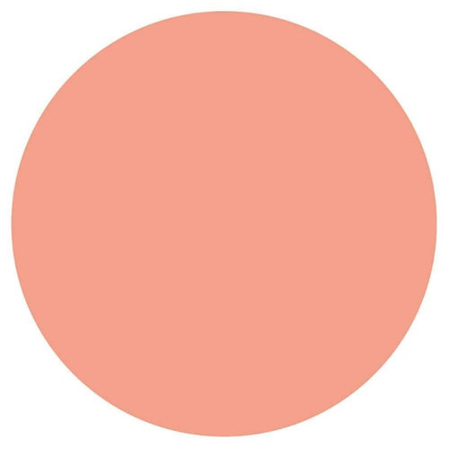 Rrd Paper Circles 3/4" Lt Orange