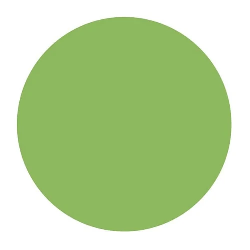 Rrd Vinyl Circles 1/4"Grn