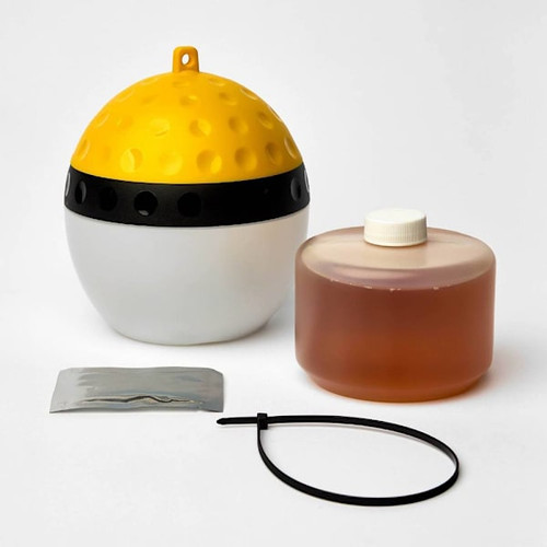 Hot Shot Spectracide Wasp Hornet And Yellow Jacket Trap Case Of 4