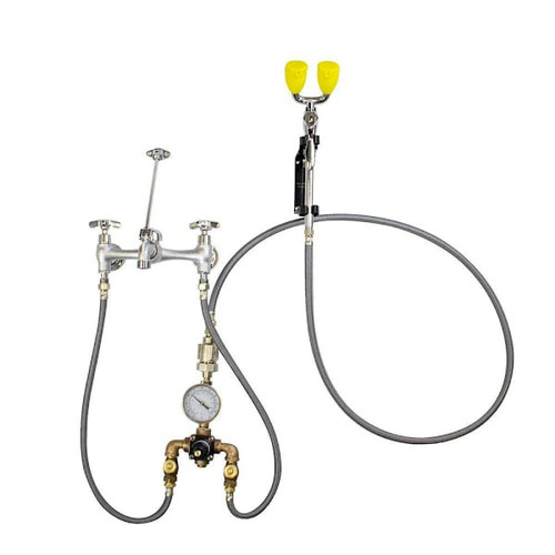 Speakman Sef-9000-Tw Eyesaver Service Sink Eyewash Faucet With Eyewash Tmv
