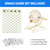 Large Bingo Game Set with 12" Bingo Cage and 1.5" Ping Pong Size Bingo Balls, Plastic Master Board