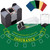 Blackjack Game Set with Blackjack Felt, Card Shuffler, 6 Dealer Shoe, Discard Holder Tray, Cut Cards