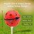 12-Pack Plastic Practice Golf Balls of Airflow Hollow,Training Golf Balls for Swing Practice(Multi-color)
