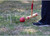 Six Player Croquet Set with Deluxe Wooden Mallets,Colored Balls, Sturdy Carrying Bag for Adults & Kids