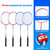 Volleyball and Badminton Combo Set with Net,4 Rackets,3 Birds,PU Volleyball and Carrying Bag(Recreational)