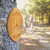 Ring Toss Hook Game for Adults,Hook and Ring Toss Game Wall Mount for Outdoor/Indoor(Football)