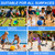 Playground Balls,Kickball, Bouncy Dodge Ball,Handball for Indoor and Outdoor(Green)
