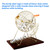 Large Bingo Game Set with 13" Bingo Cage and 1.5" Ping Pong Size Bingo Balls, Plastic Master Board