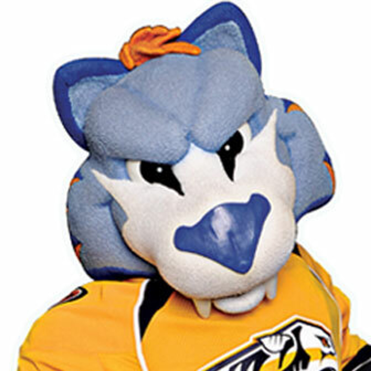 Gnash