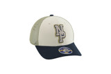 Nashville Predators Hat-Muted NP