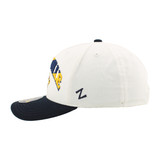 Nashville Predators HAT-DISTRICT