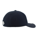 Nashville Predators Hat-Silvery Flex