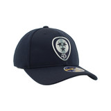 Nashville Predators Hat-Silvery Flex