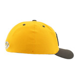 Nashville Predators Hat-Scaffold Flex