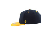 Nashville Predators Skeleton Hockey Hat