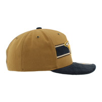 Nashville Predators HAT-AVIATOR