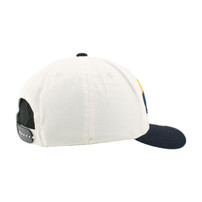 Nashville Predators HAT-DISTRICT