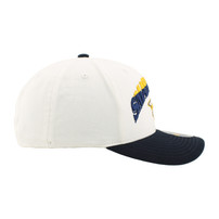 Nashville Predators HAT-DISTRICT